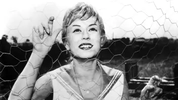 Backdrop to the movie "Nights of Cabiria" #180683