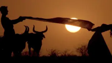 Backdrop to the movie "Lagaan: Once Upon a Time in India" #980466
