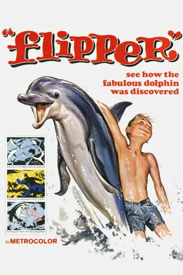 Poster to the movie "Flipper" #1127864