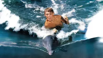 Backdrop to the movie "Flipper" #495583