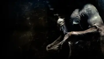 Backdrop to the movie "Pandorum" #851559
