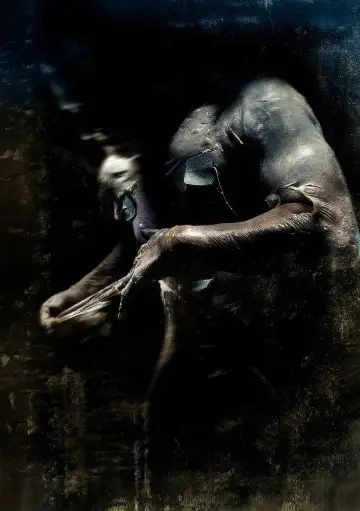 Poster to the movie "Pandorum" #851567