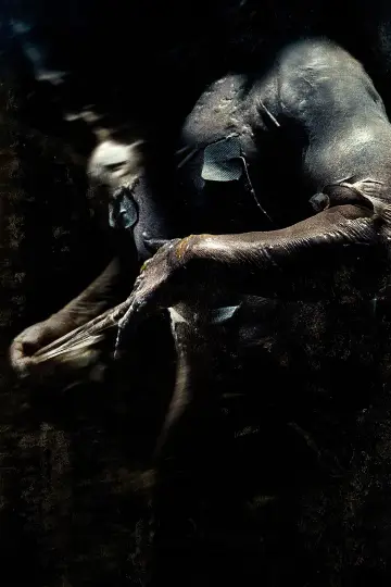 Poster to the movie "Pandorum" #851574