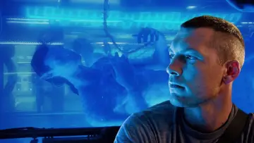 Backdrop to the movie "Avatar" #516384
