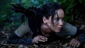 Backdrop to the movie "The Hunger Games: Catching Fire" #624945
