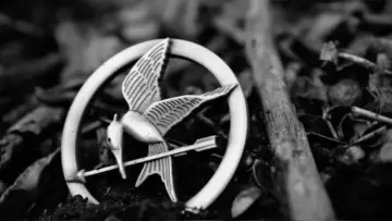 Backdrop to the movie "The Hunger Games: Catching Fire" #836286