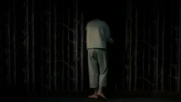 Backdrop to the movie "Holy Motors" #969674