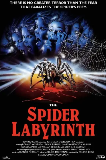 Poster to the movie "The Spider Labyrinth" #1020810
