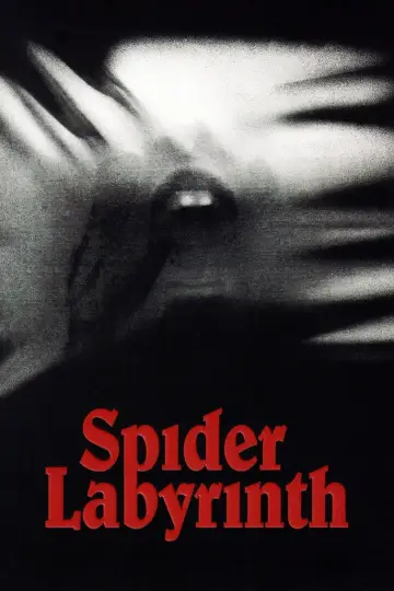 Poster to the movie "The Spider Labyrinth" #771938