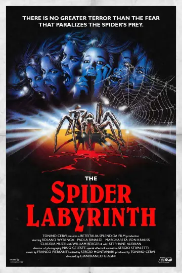 Poster to the movie "The Spider Labyrinth" #771941