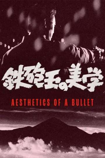 Aesthetics of a Bullet poster
