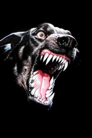 Poster to the movie "Dogs" #493810