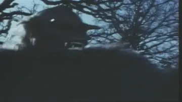 Backdrop to the movie "Night Fright" #1130727