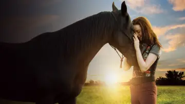 Backdrop to the movie "Flicka: Country Pride" #451868