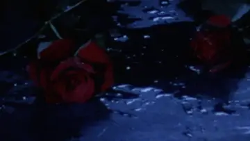 Backdrop to the movie "Angel Guts: Red Classroom" #872644