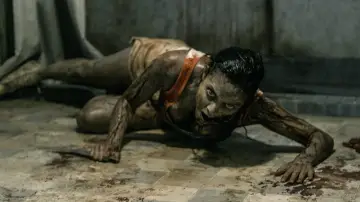 Backdrop to the movie "Evil Dead" #643094