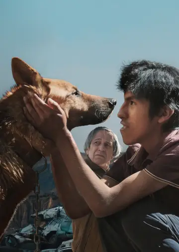 Poster to the movie "The Dog Thief" #1118777