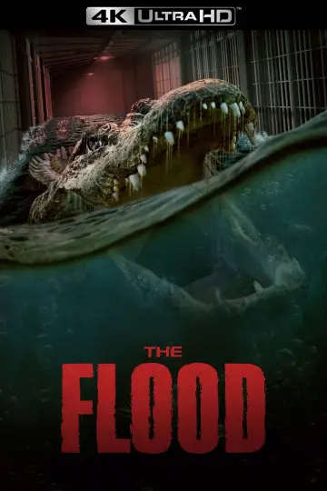 Poster to the movie "The Flood" #946368