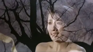 Backdrop to the movie "Night Butterflies" #1619799