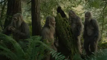Backdrop to the movie "Sasquatch Sunset" #475929