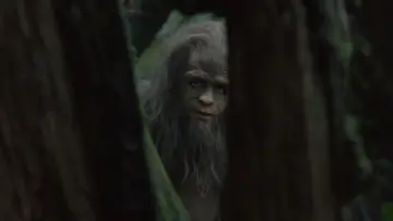 Backdrop to the movie "Sasquatch Sunset" #745829