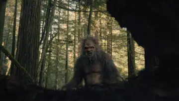Backdrop to the movie "Sasquatch Sunset" #745841