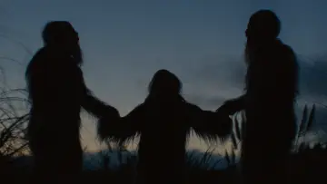 Backdrop to the movie "Sasquatch Sunset" #745844