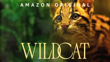 Backdrop to the movie "Wildcat" #1640854