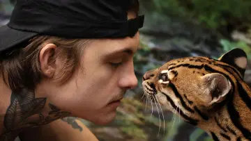 Backdrop to the movie "Wildcat" #1640855