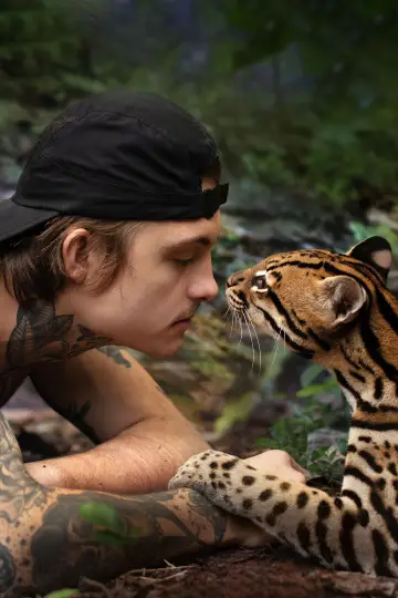 Poster to the movie "Wildcat" #1640863