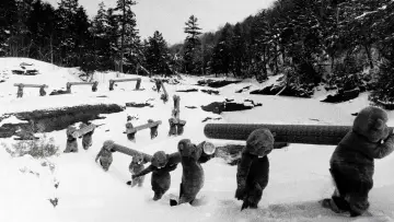 Backdrop to the movie "Hundreds of Beavers" #756233