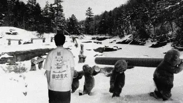 Backdrop to the movie "Hundreds of Beavers" #756240