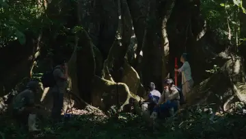 Backdrop to the movie "Far From the Trees" #1212360