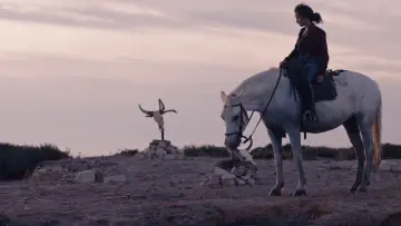 Backdrop to the movie "Animale" #599421