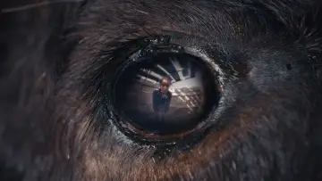 Backdrop to the movie "Animale" #599429