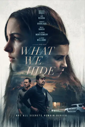 Poster to the movie "What We Hide" #785422