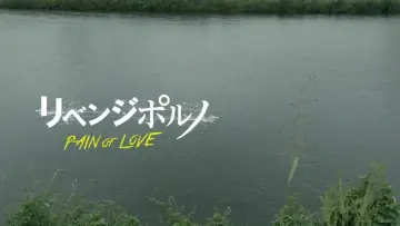 Revenge Porn: PAIN OF LOVE poster