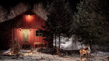 Backdrop to the movie "Prancer: A Christmas Tale" #429117