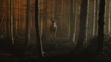 Backdrop to the movie "Bambi: The Reckoning" #586443