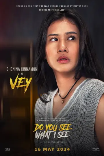 Poster to the movie "Do You See What I See" #1100970