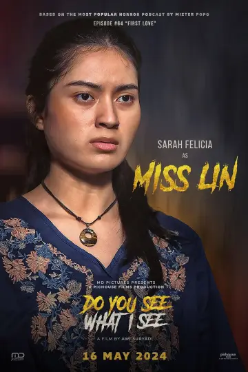 Poster to the movie "Do You See What I See" #1100975