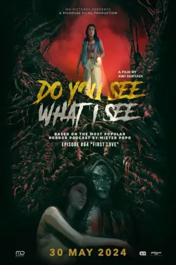 Poster to the movie "Do You See What I See" #491157