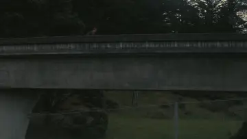 Backdrop to the movie "BC Project" #510237