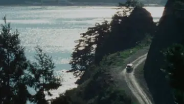 Backdrop to the movie "Bye Bye Love" #1138474
