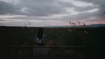 Backdrop to the movie "Bye Bye Love" #1138478