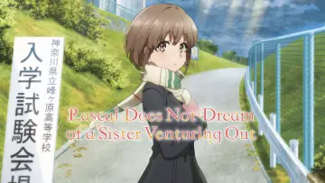 Backdrop to the movie "Rascal Does Not Dream of a Sister Venturing Out" #888825