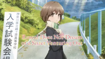 Backdrop to the movie "Rascal Does Not Dream of a Sister Venturing Out" #888826