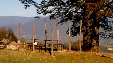 Backdrop to the movie "Dry Leaf" #770895