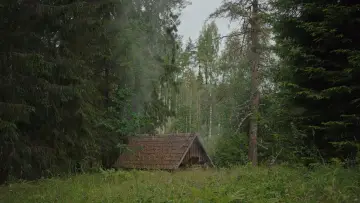 Backdrop to the movie "Smoke Sauna Sisterhood" #756205