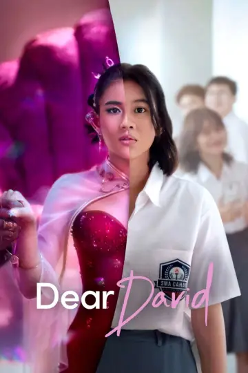 Poster to the movie "Dear David" #365319